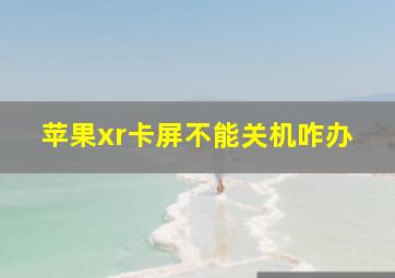 苹果xr卡屏不能关机咋办