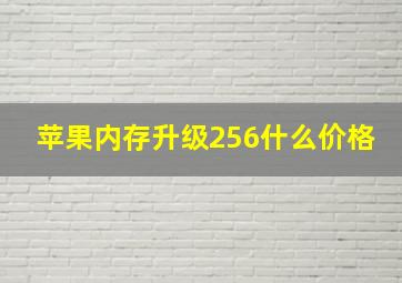 苹果内存升级256什么价格