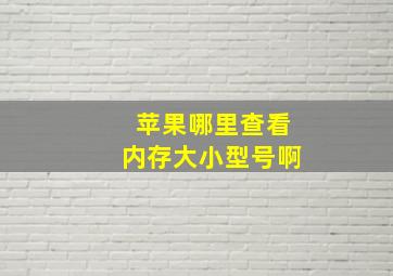 苹果哪里查看内存大小型号啊