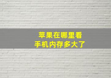 苹果在哪里看手机内存多大了