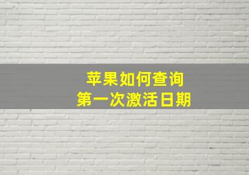 苹果如何查询第一次激活日期