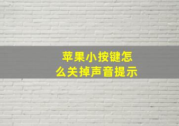 苹果小按键怎么关掉声音提示