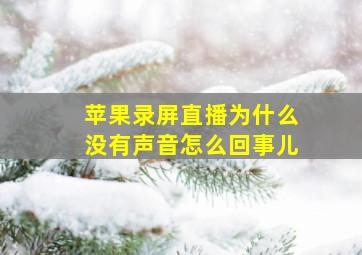 苹果录屏直播为什么没有声音怎么回事儿