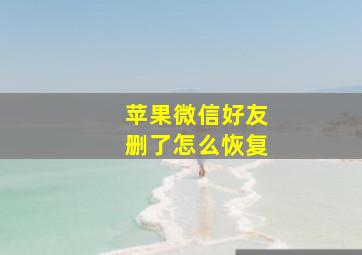 苹果微信好友删了怎么恢复