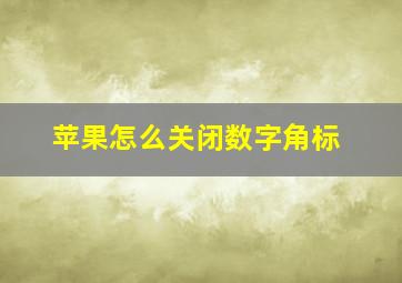 苹果怎么关闭数字角标