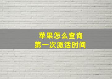 苹果怎么查询第一次激活时间