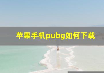 苹果手机pubg如何下载