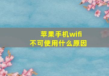 苹果手机wifi不可使用什么原因