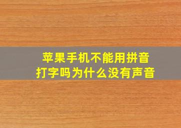 苹果手机不能用拼音打字吗为什么没有声音