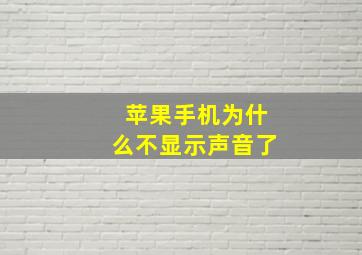 苹果手机为什么不显示声音了