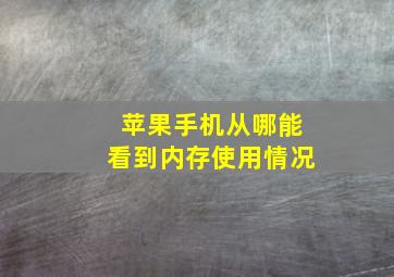 苹果手机从哪能看到内存使用情况