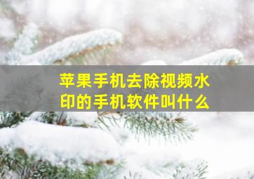 苹果手机去除视频水印的手机软件叫什么