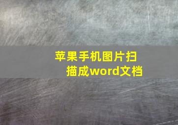 苹果手机图片扫描成word文档