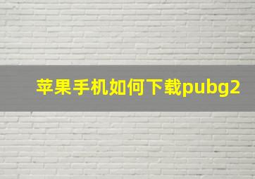 苹果手机如何下载pubg2