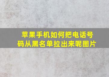 苹果手机如何把电话号码从黑名单拉出来呢图片