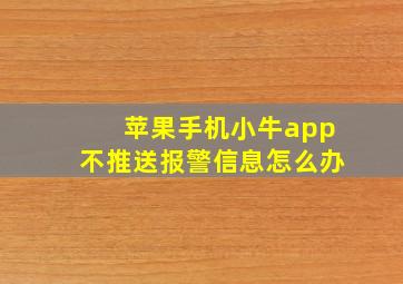 苹果手机小牛app不推送报警信息怎么办