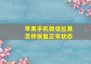 苹果手机微信拉黑怎样恢复正常状态