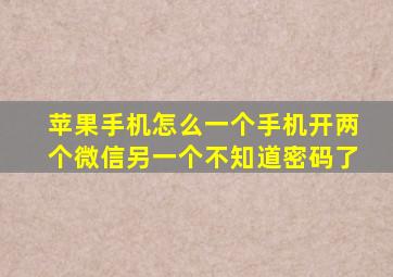 苹果手机怎么一个手机开两个微信另一个不知道密码了