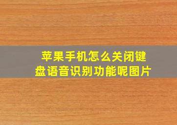 苹果手机怎么关闭键盘语音识别功能呢图片