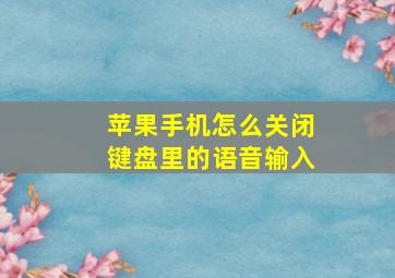 苹果手机怎么关闭键盘里的语音输入