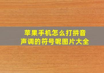 苹果手机怎么打拼音声调的符号呢图片大全