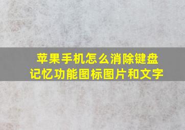 苹果手机怎么消除键盘记忆功能图标图片和文字