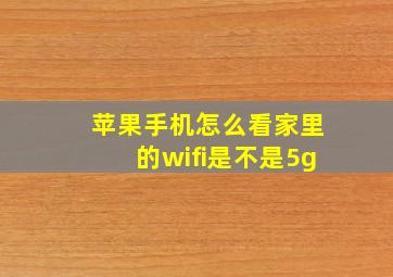 苹果手机怎么看家里的wifi是不是5g