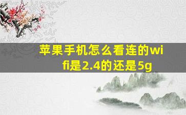 苹果手机怎么看连的wifi是2.4的还是5g