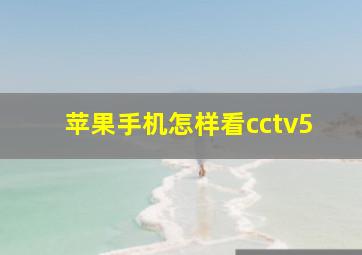 苹果手机怎样看cctv5