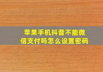 苹果手机抖音不能微信支付吗怎么设置密码