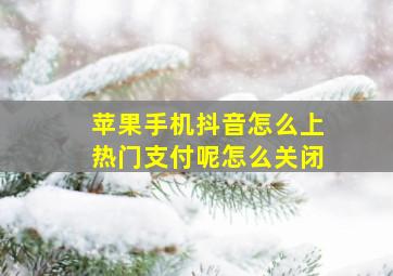 苹果手机抖音怎么上热门支付呢怎么关闭