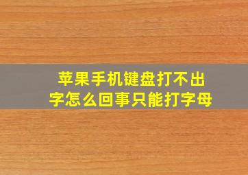 苹果手机键盘打不出字怎么回事只能打字母