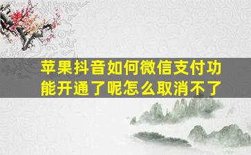 苹果抖音如何微信支付功能开通了呢怎么取消不了