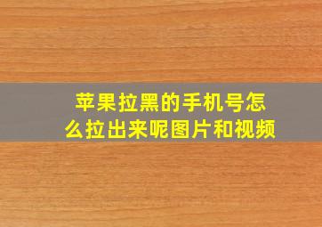 苹果拉黑的手机号怎么拉出来呢图片和视频