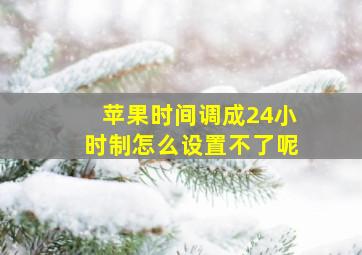 苹果时间调成24小时制怎么设置不了呢