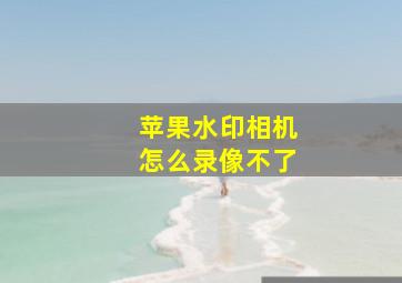 苹果水印相机怎么录像不了