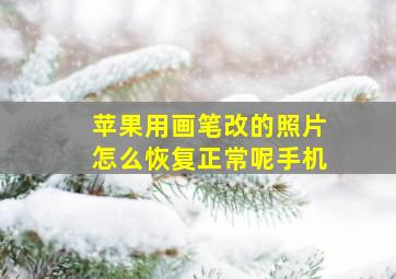 苹果用画笔改的照片怎么恢复正常呢手机