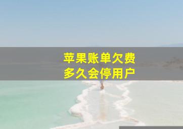 苹果账单欠费多久会停用户