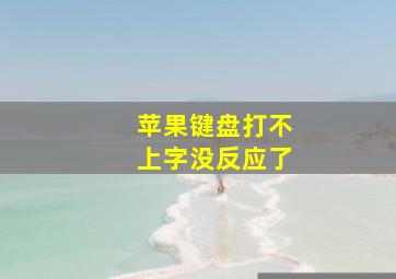 苹果键盘打不上字没反应了