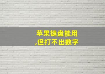 苹果键盘能用,但打不出数字