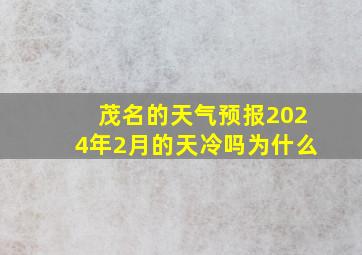 茂名的天气预报2024年2月的天冷吗为什么