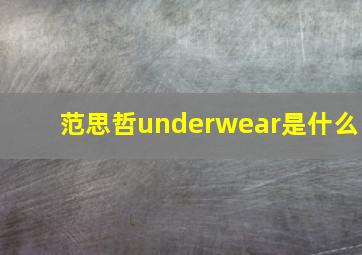 范思哲underwear是什么