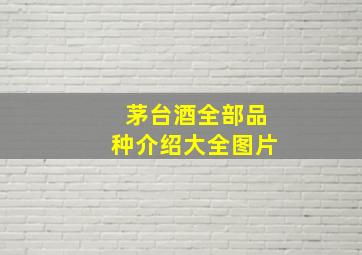 茅台酒全部品种介绍大全图片