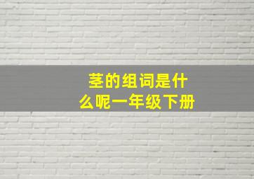 茎的组词是什么呢一年级下册