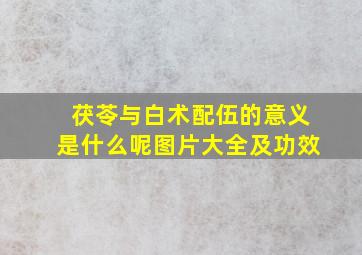 茯苓与白术配伍的意义是什么呢图片大全及功效