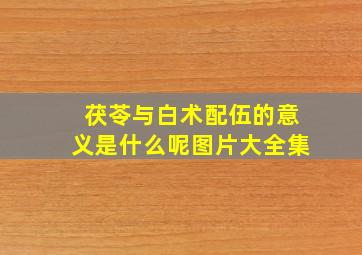 茯苓与白术配伍的意义是什么呢图片大全集