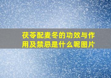 茯苓配麦冬的功效与作用及禁忌是什么呢图片