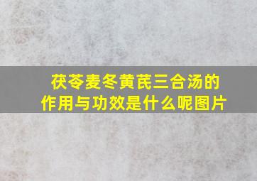 茯苓麦冬黄芪三合汤的作用与功效是什么呢图片