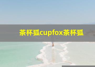 茶杯狐cupfox茶杯狐