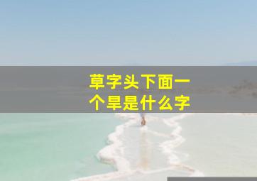 草字头下面一个旱是什么字